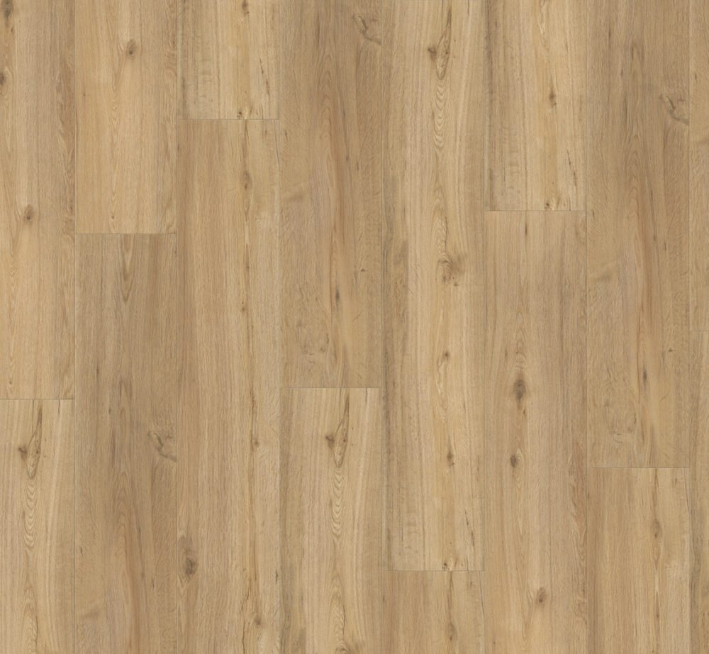 Click vinilas Parador Oak natural 1744633