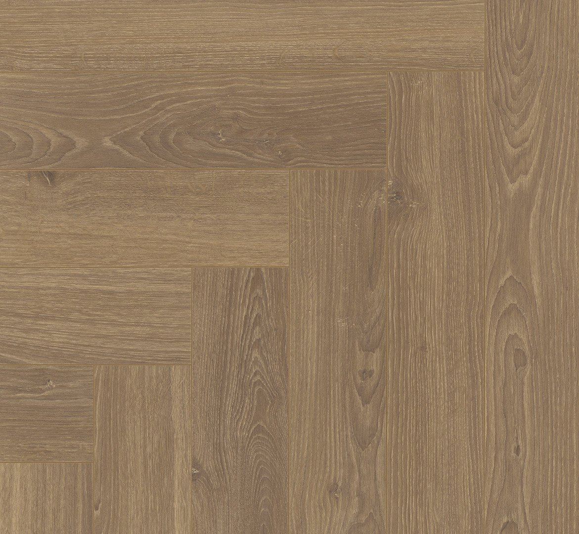 Laminatas eglute Parador Oak Studioline honey 1747864