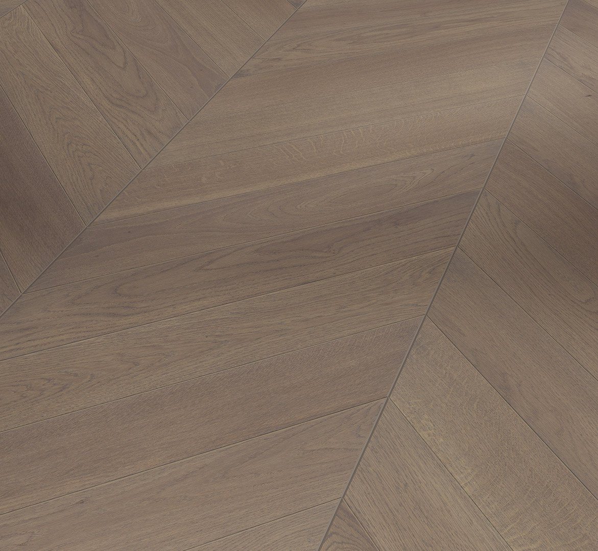 Medinės chevron rašto grindys Parador Chevron Oak Terra 1748486