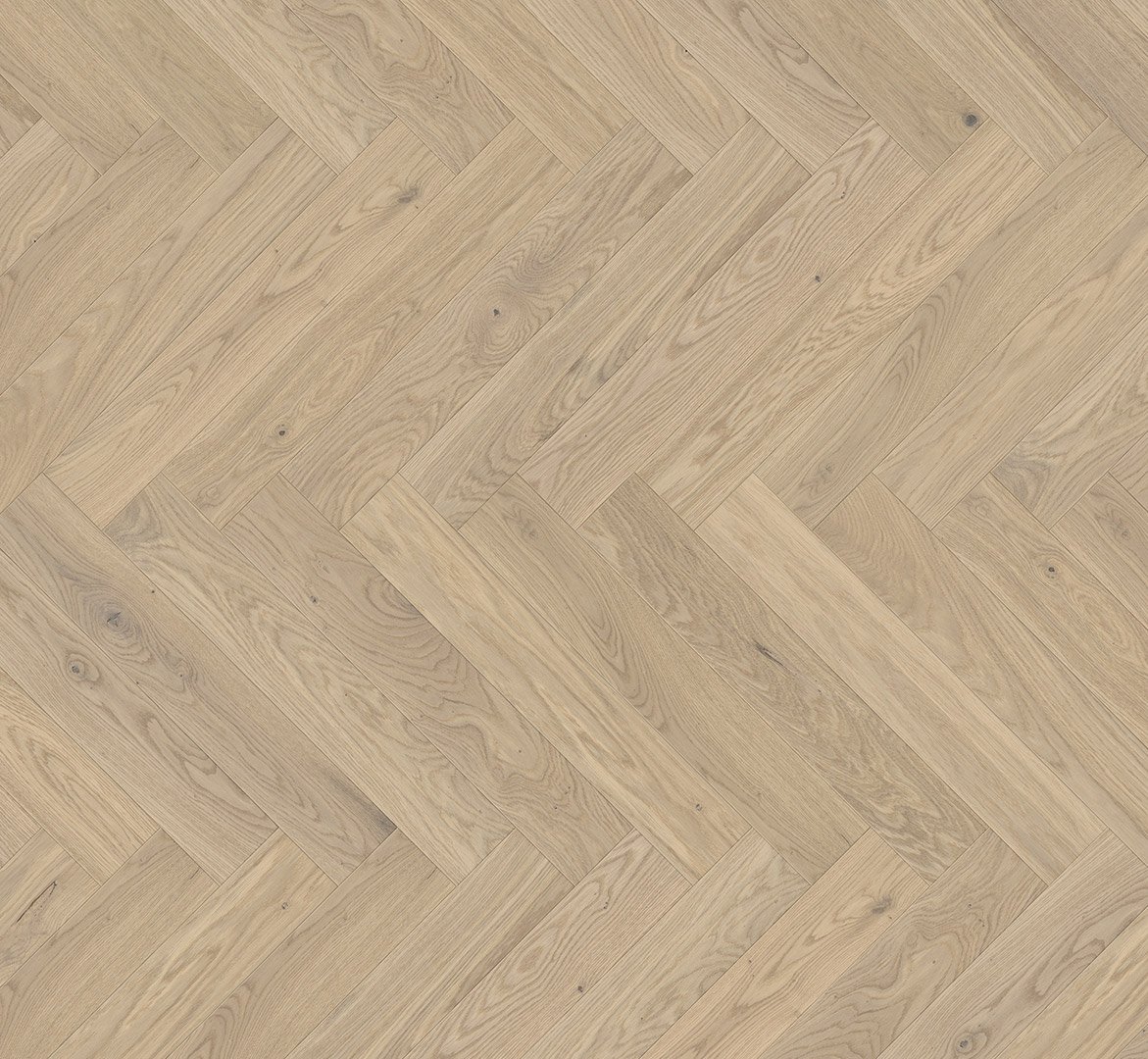 Medinės grindys eglute Parador Oak Bardolino white 1748883