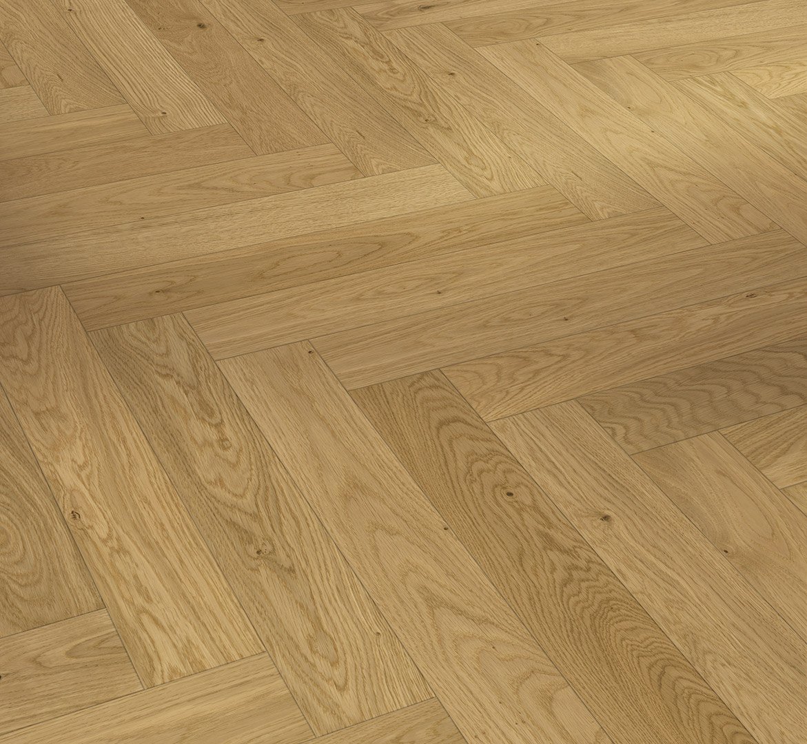 Medinės grindys eglutės raštu Parador Oak Bardolino natural 1748884
